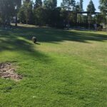 IMG_20260220_180832876