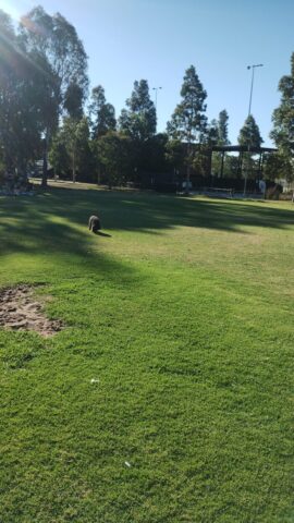 IMG_20260220_180832876