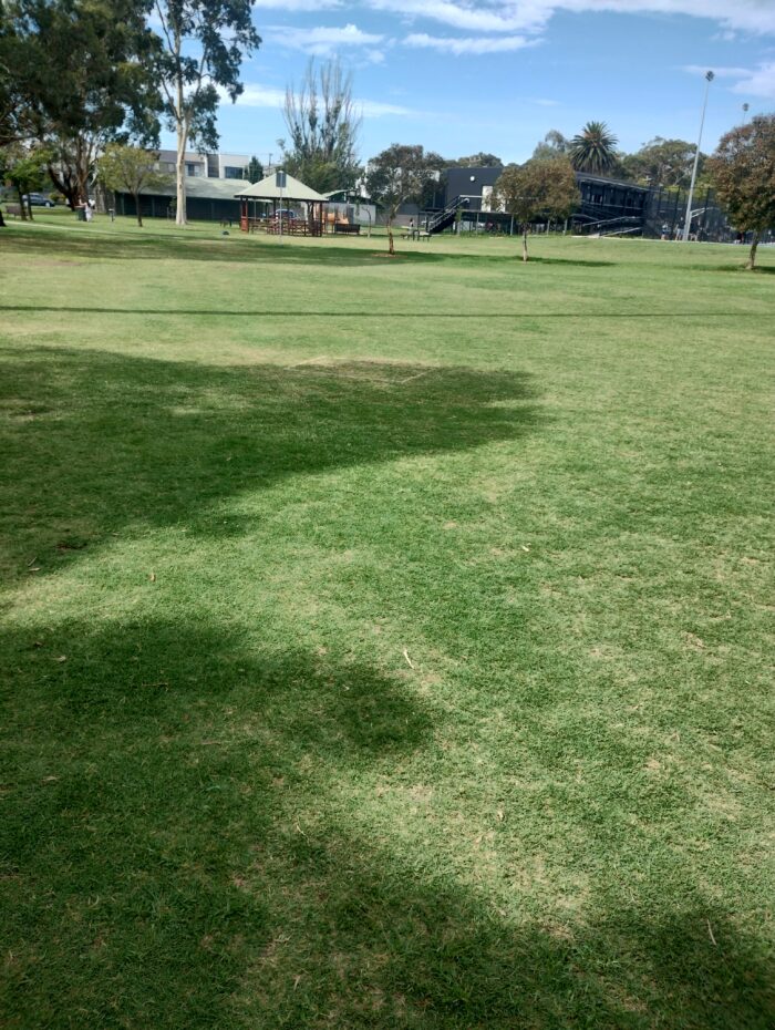 Green grass lawn across a park setting on a clear daytime, supporting Melbourne Lawn Mowing and lawn mowing Melbourne garden maintenance services.